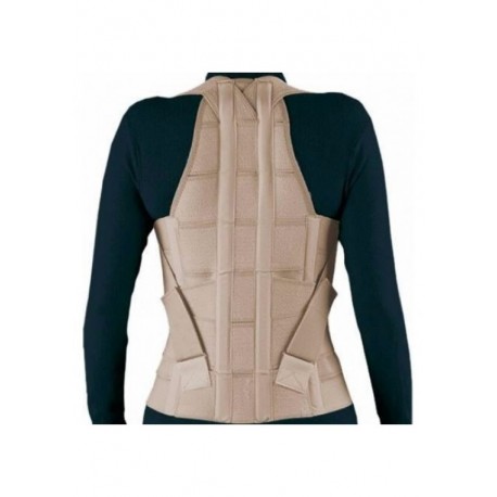 Faja Espaldillera Dorso Lumbar