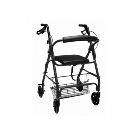 Andadera con Canastilla